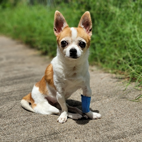 Meet your Posher, Janelle - Picture 1 of 1